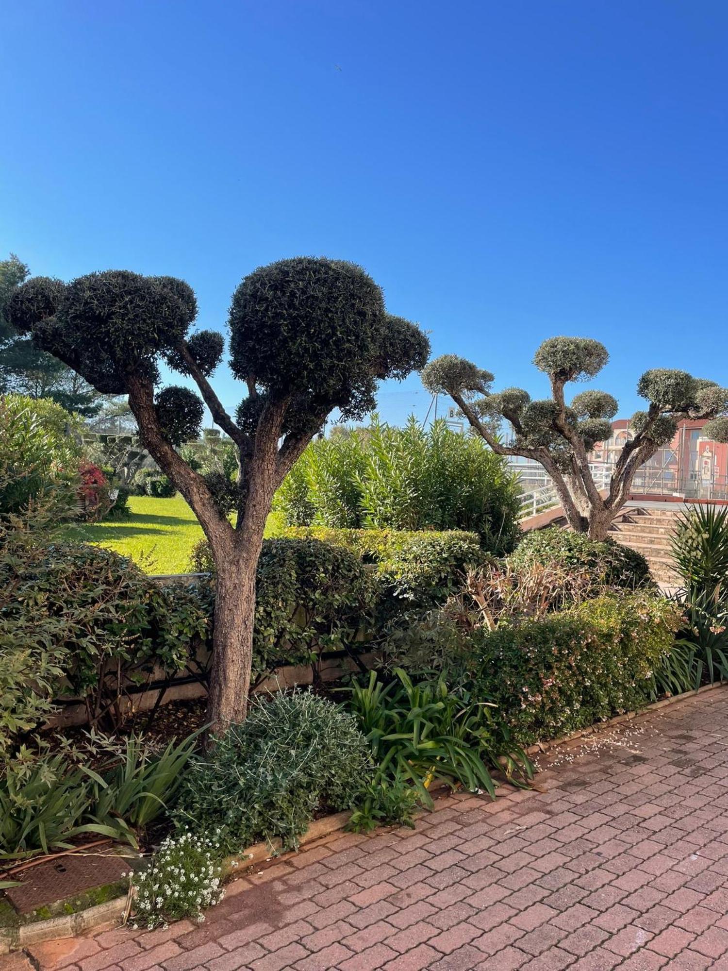Un Cocon Aux Marquises - Joli T2 Degagee Sud- Ouest Piscine Tennis Appartement